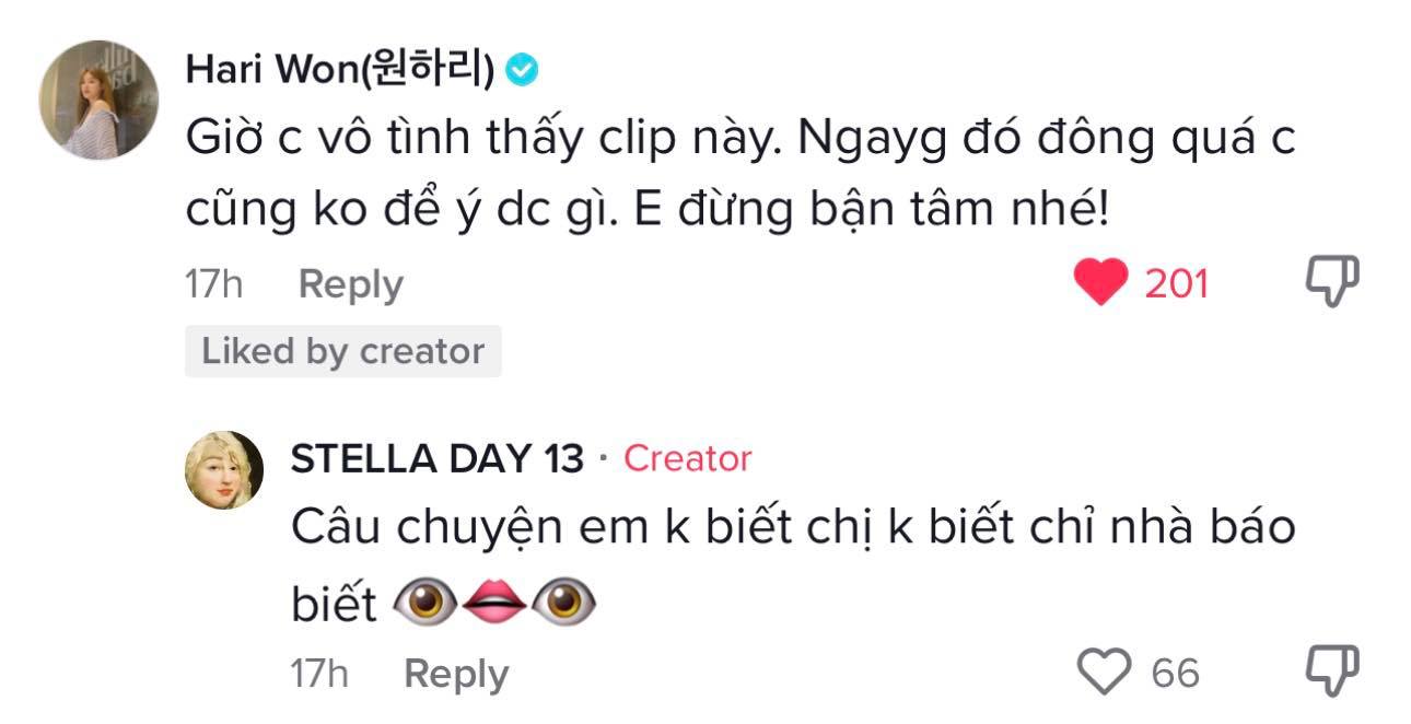 Sự việc Hari Won bị một TikToker chen lấn tại sự kiện thảm đỏ, người trong cuộc nói gì? - Ảnh 4.