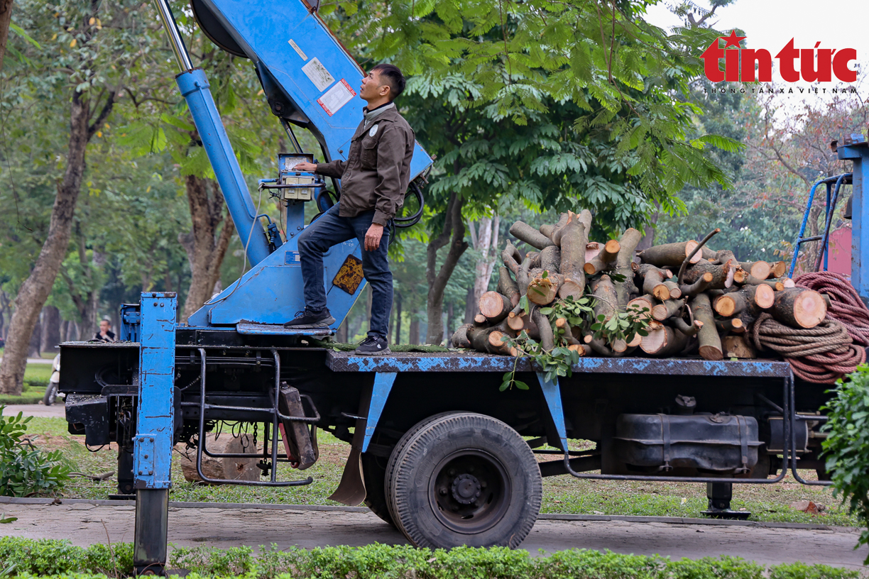 Gấp rút hoàn thiện không gian đi bộ phố Trần Nhân Tông - Ảnh 6.