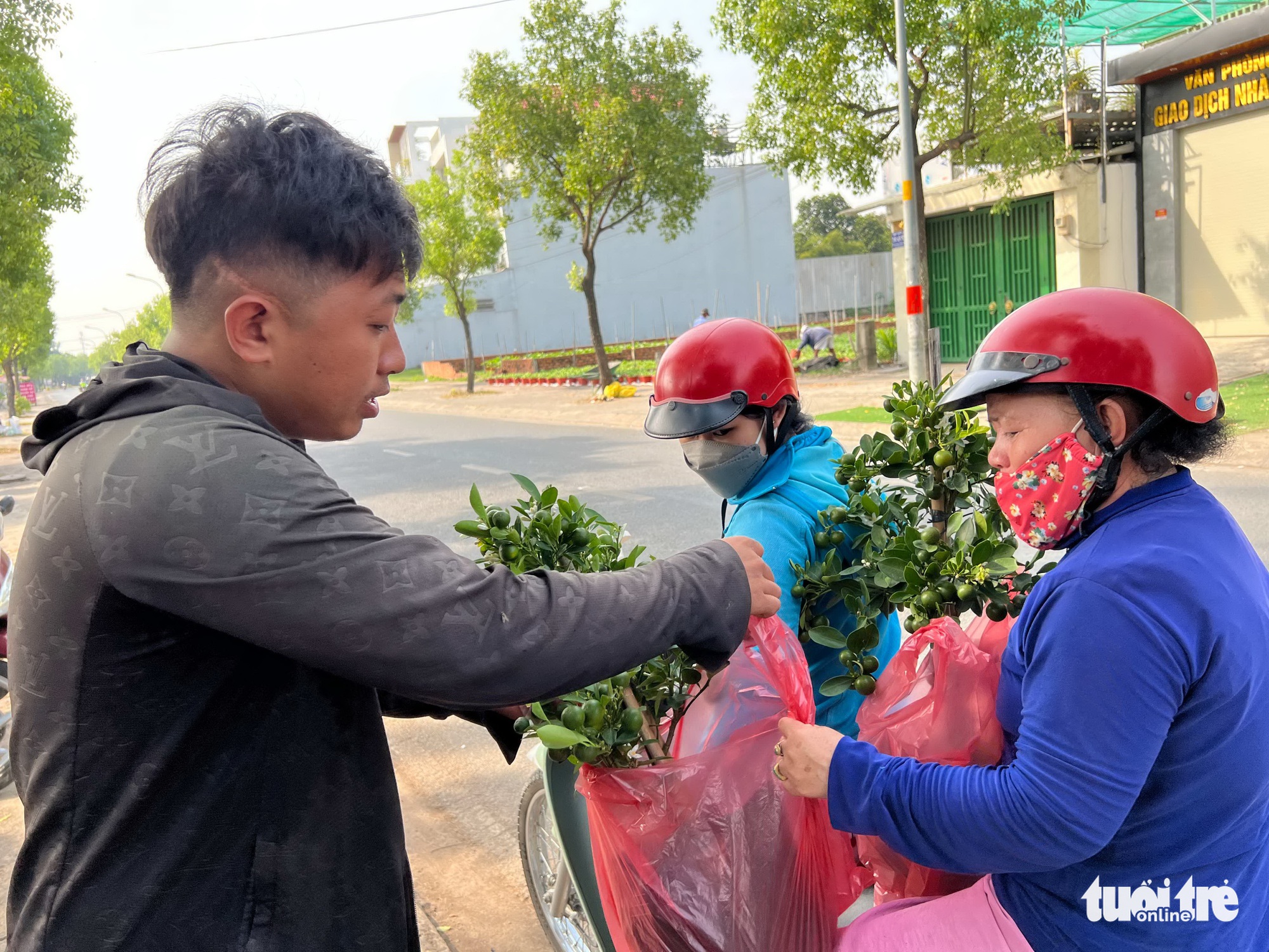 TP.HCM: Hoa kiểng Tết rục rịch, khách chưng từ Tết Tây tới Tết Quý Mão - Ảnh 6. TP.HCM: Hoa kiểng Tết rục rịch, khách chưng từ Tết Tây tới Tết Quý Mão - Ảnh 6.