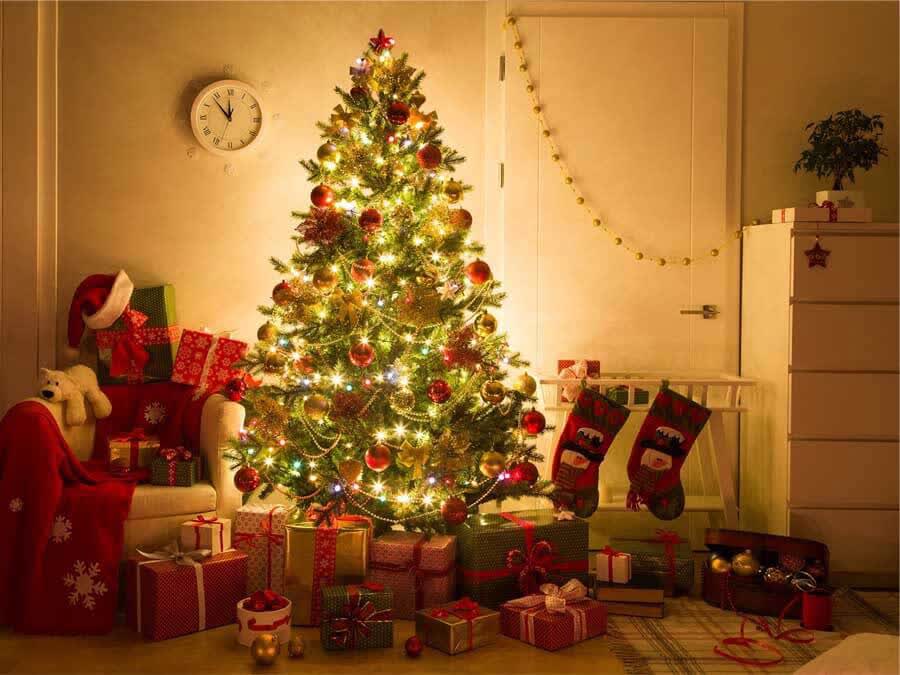 Cách chọn cây thông Noel giá rẻ nhưng vẫn tạo được hiệu ứng cho căn nhà - Ảnh 1.