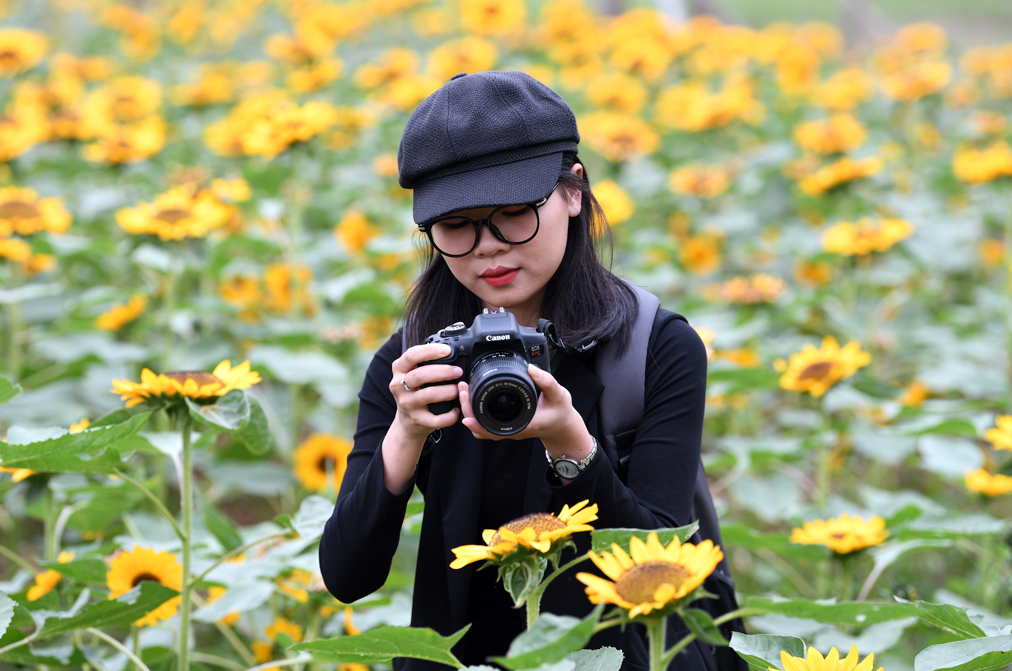 Nghệ nhân trồng hoa Mê Linh, Hà Nội tất bật chuẩn bị cho lễ hội hoa 2022 - Ảnh 6.