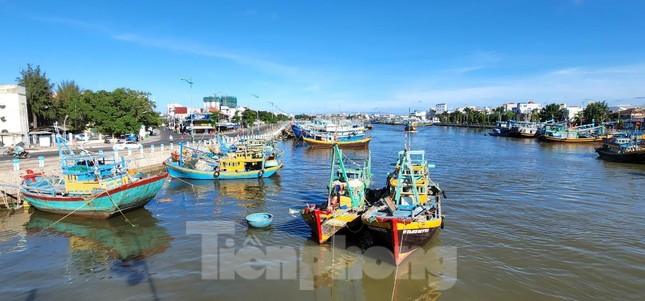 Bão đổ bộ đất liền các tỉnh Thừa Thiên Huế – Quảng Ngãi - Ảnh 10.