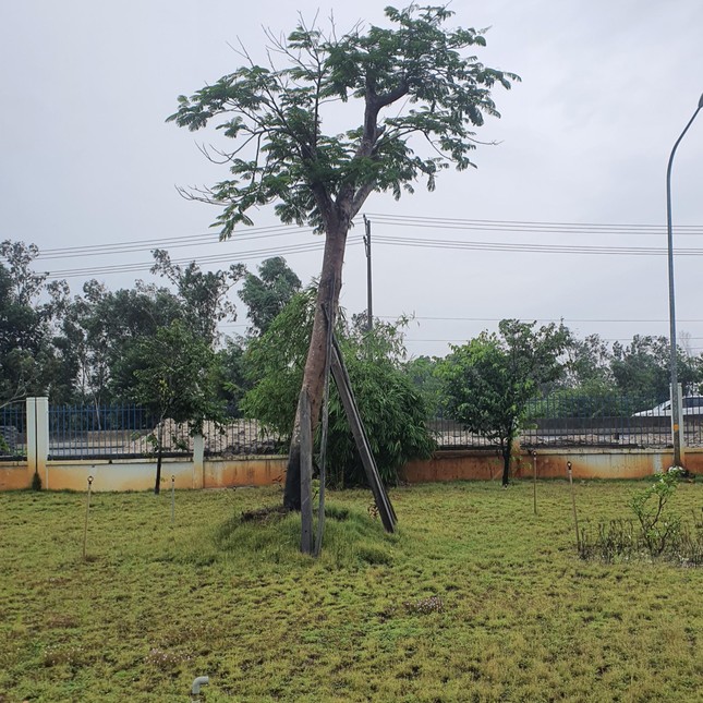 Bão đổ bộ đất liền các tỉnh Thừa Thiên Huế – Quảng Ngãi - Ảnh 42.