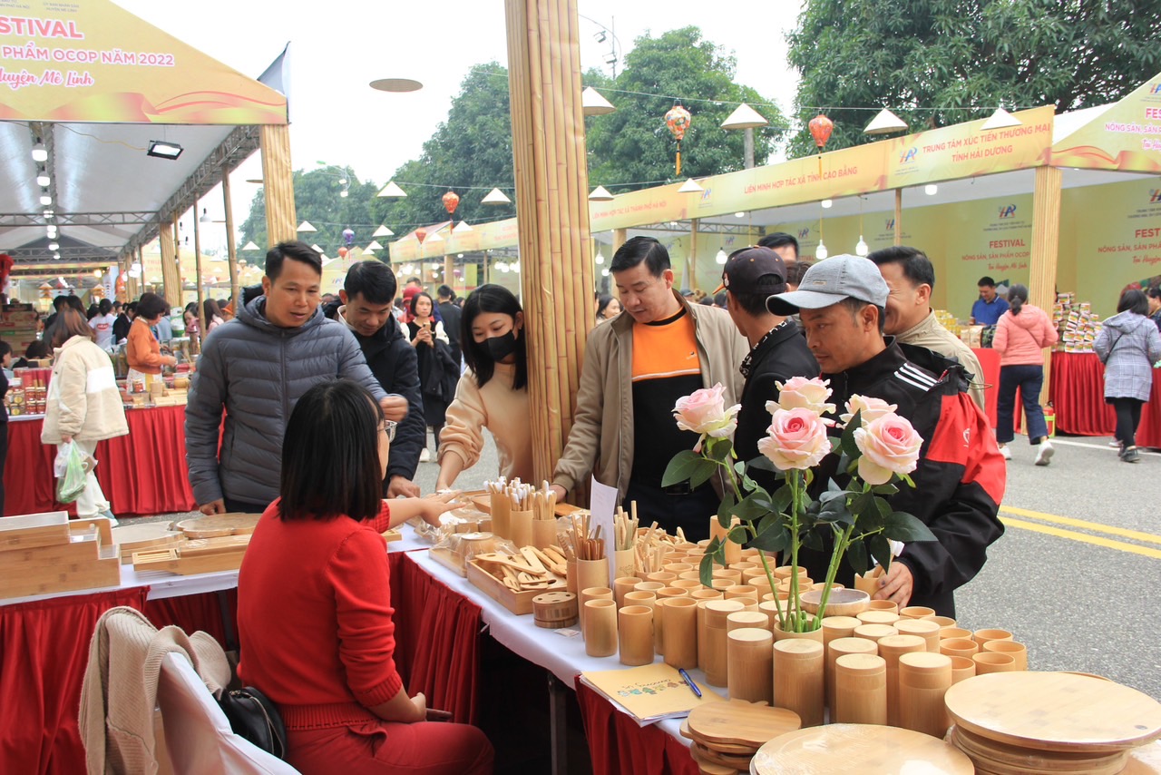 Khai mạc Lễ hội hoa và Festival nông sản, sản phẩm OCOP tại huyện Mê Linh - Ảnh 7. Khai mạc Lễ hội hoa và Festival nông sản, sản phẩm OCOP tại huyện Mê Linh - Ảnh 7.