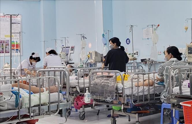 TP Hồ Chí Minh: Nhiều trẻ nhập viện do viêm não, viêm màng não - Ảnh 2.