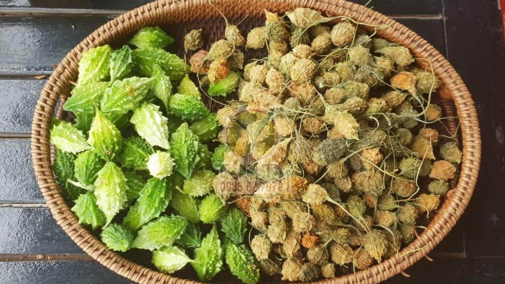 Cách làm trà mướp đắng khô đơn giản Cách làm trà mướp đắng khô đơn giản