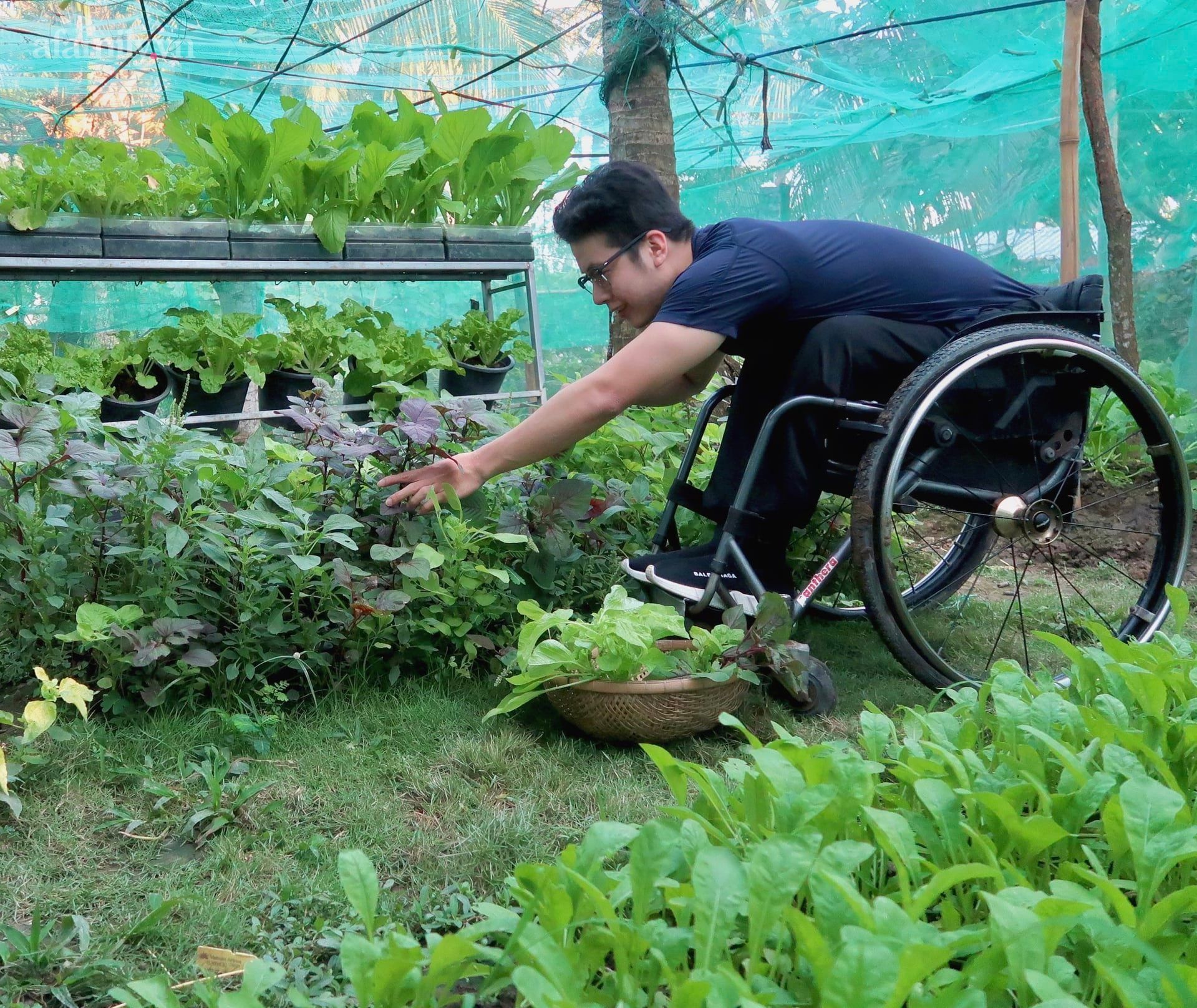 Khu vườn sai trĩu quả của cậu bé bị liệt hai chân, hàng ngày ngồi trên xe lăn chăm sóc rau quả - Ảnh 5.