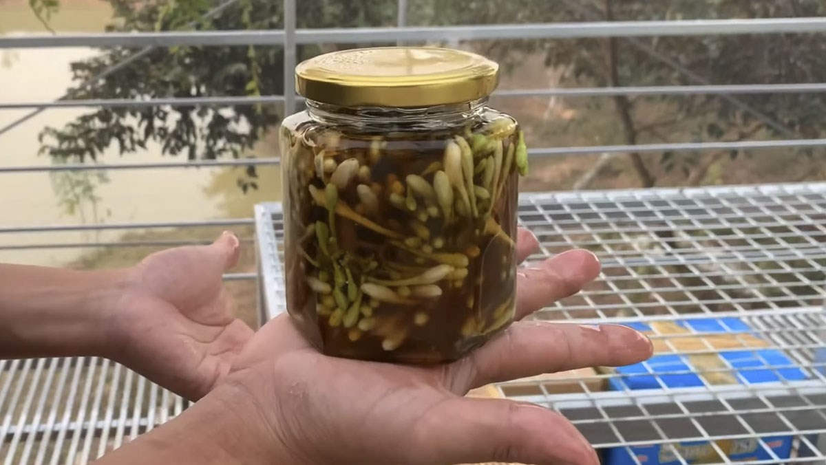 Nh&agrave; n&agrave;o c&oacute; loại hoa n&agrave;y th&igrave; qu&yacute; như v&agrave;ng: Đem ng&acirc;m với mật ong vừa l&agrave;m siro chữa ho si&ecirc;u đỉnh vừa gi&uacute;p trẻ h&oacute;a mạch m&aacute;u, ph&ograve;ng chống tiểu đường, ung thư - Ảnh 5.