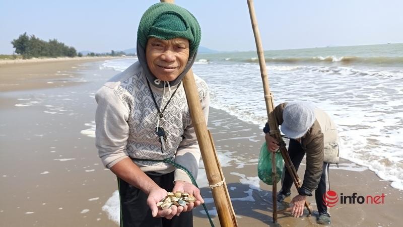 Nghề đi giật lùi kéo con vỏ cứng kiếm vài trăm mỗi ngày của người dân vùng biển - Ảnh 6.