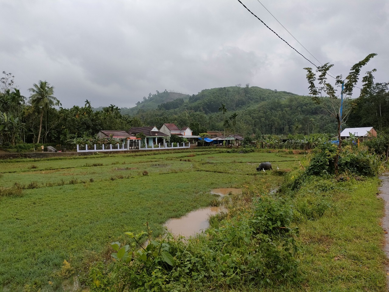 Nghe cụ &ocirc;ng kể chuyện săn ch&uacute;a sơn l&acirc;m - Ảnh 4.