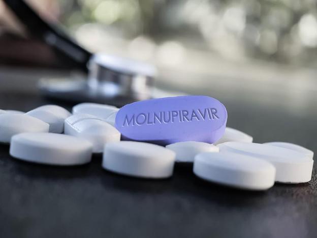 4 lưu ý dùng thuốc Molnupiravir dù bạn là F0 hay vẫn chưa nhiễm bệnh đều cần ghi nhớ - Ảnh 6.