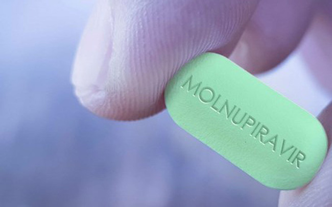 4 lưu ý dùng thuốc Molnupiravir dù bạn là F0 hay vẫn chưa nhiễm bệnh đều cần ghi nhớ - Ảnh 7.