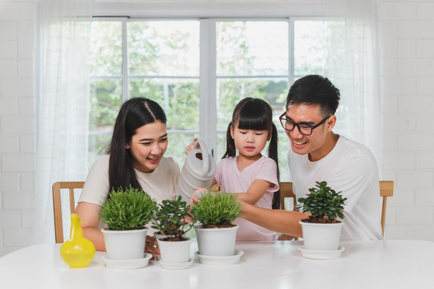 Cải thiện chất lượng sống cùng bầu không khí sạch - Ảnh 1. Cải thiện chất lượng sống cùng bầu không khí sạch - Ảnh 1.
