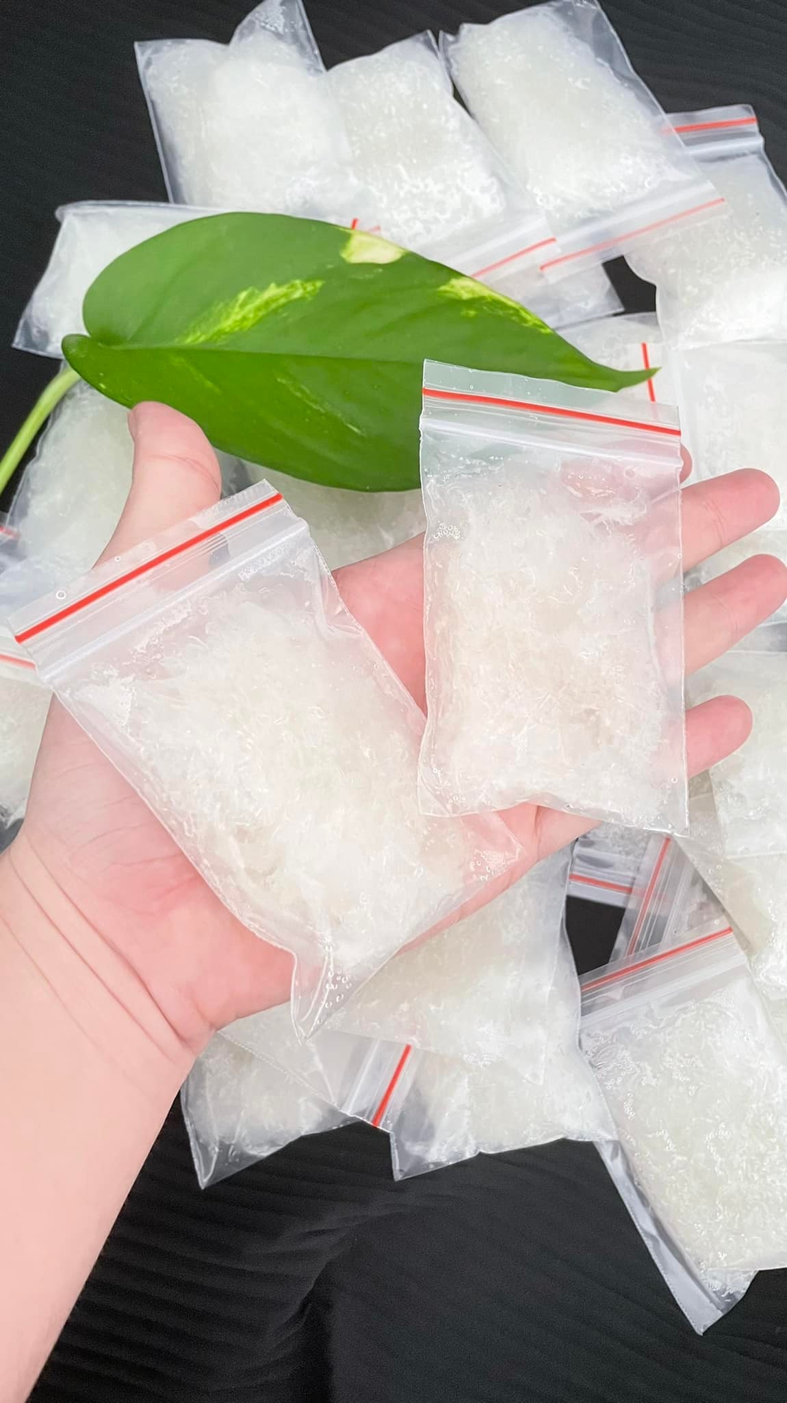 Từ A-Z kinh nghiệm nhặt yến nhanh và chưng yến ngon lành, mùa này nhà nào cũng cần, chị em nhất định không thể bỏ qua! - Ảnh 5. Từ A-Z kinh nghiệm nhặt yến nhanh và chưng yến ngon lành, mùa này nhà nào cũng cần, chị em nhất định không thể bỏ qua! - Ảnh 5.