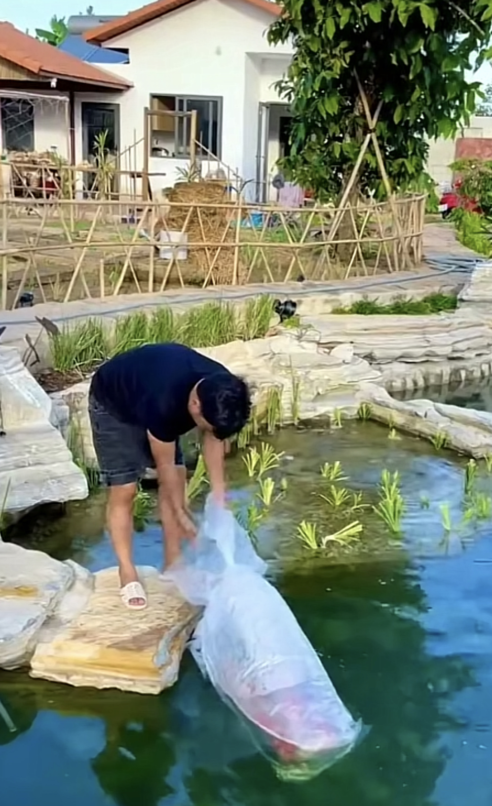 Truong Giang accidentally revealed the billion-dollar garden in the clip of holding a child, netizens admired: It looks simple, but meters of land are golden!  - Photo 6.