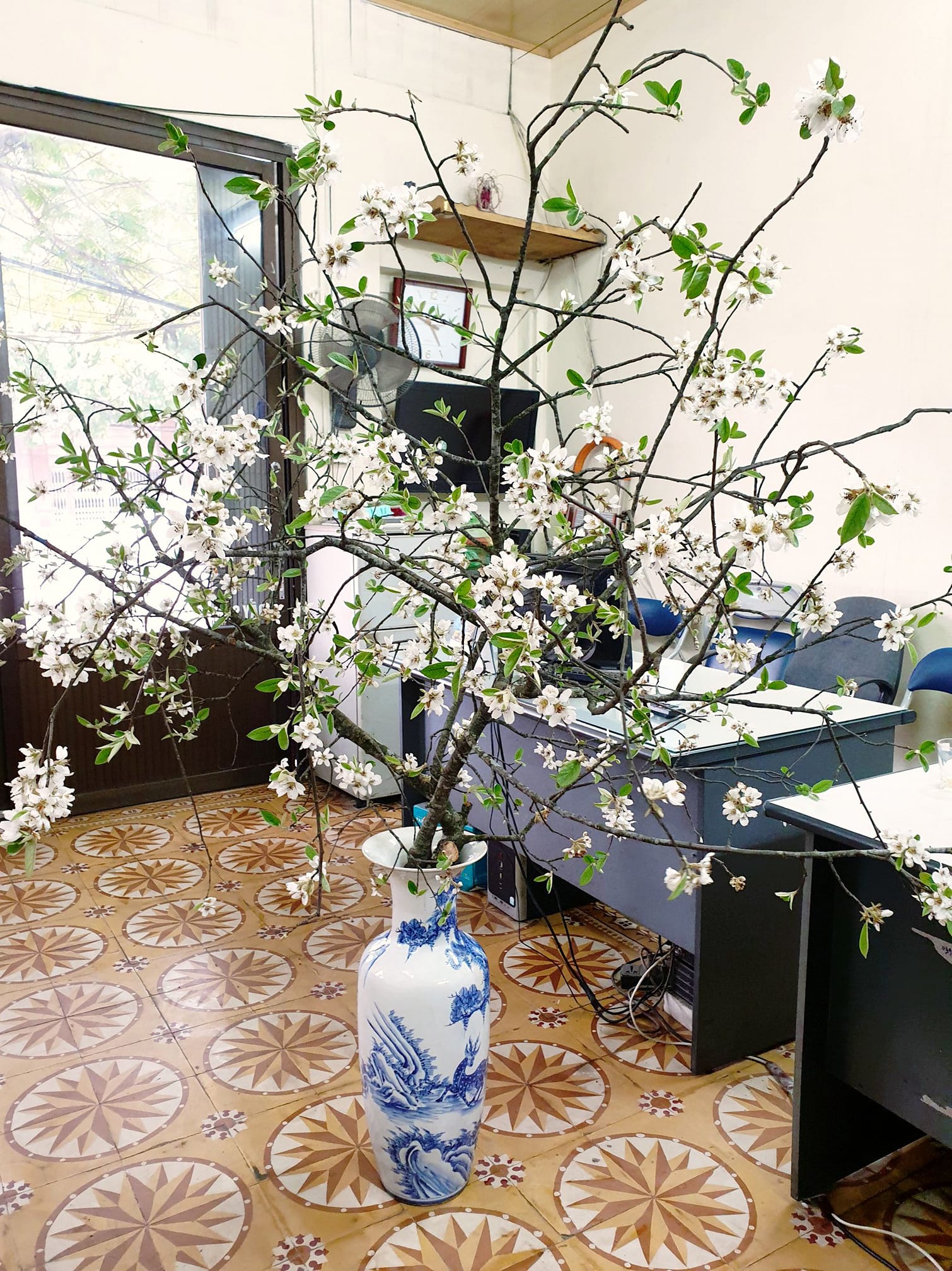 The Northwest apple tree branch down the street attracts people who love flowers to order, only 99k/bundle - Photo 8. The Northwest apple tree branch down the street attracts people who love flowers to order, only 99k/bundle - Photo 8.