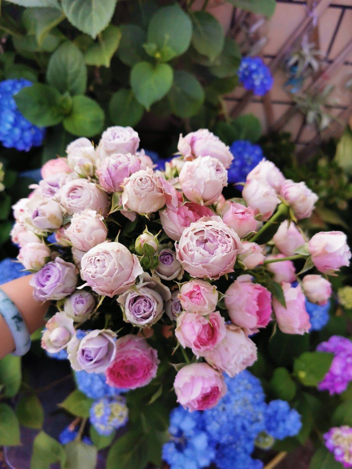 Tận dụng sân thượng làm vườn hoa để thỏa mãn đam mê, người mẹ trẻ lại nhận được lời hỏi mua hoa nhiều đến không ngờ - Ảnh 18.