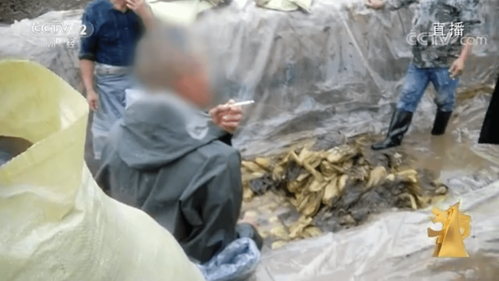 R&ugrave;ng m&igrave;nh với c&aacute;ch chế biến dưa chua tại một c&ocirc;ng sản xuất ở Trung Quốc - Ảnh 3.