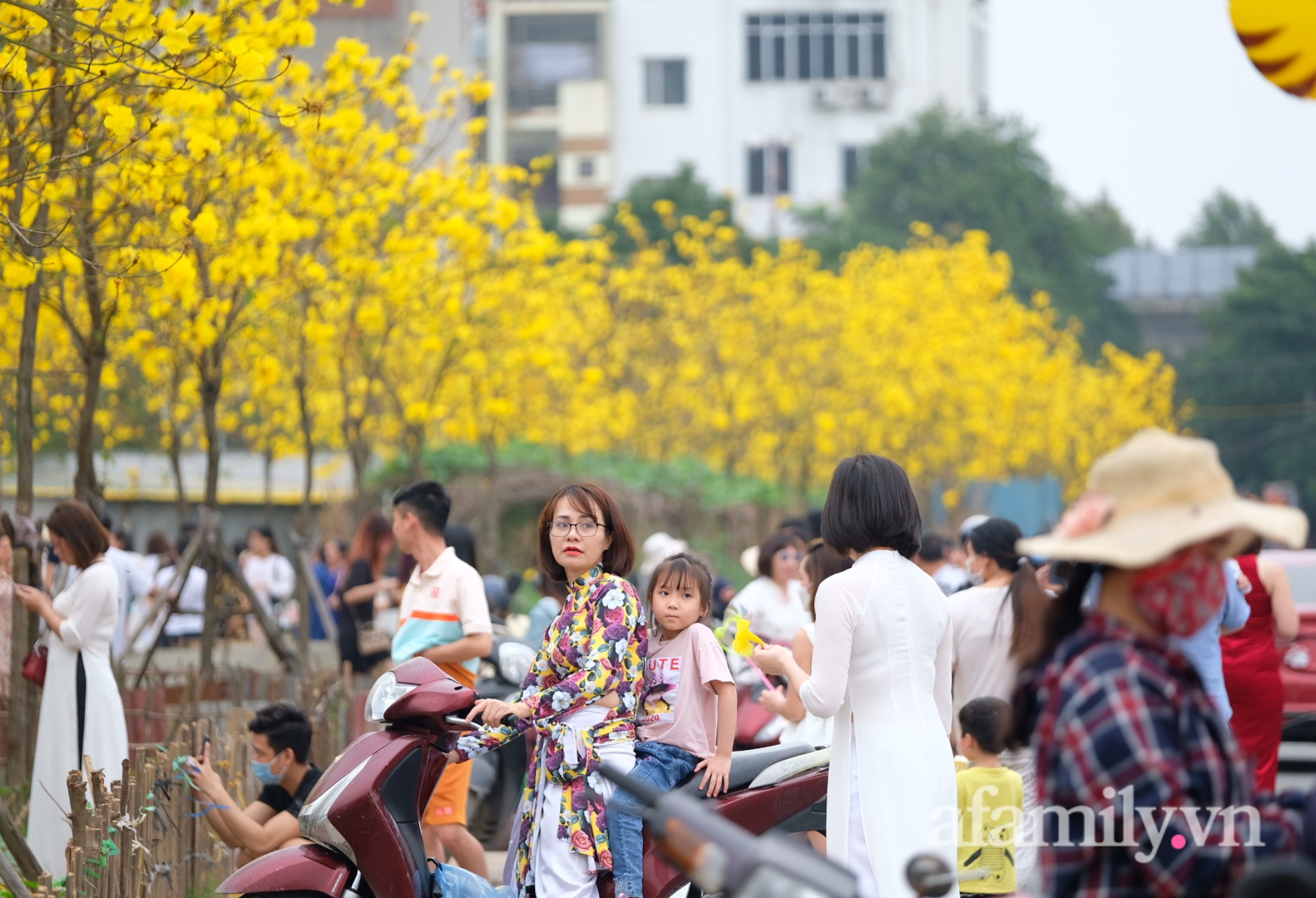 Xuất hiện đường hoa phong linh mới, hàng nghìn người đổ xô đến chụp ảnh cuối tuần - Ảnh 3.
