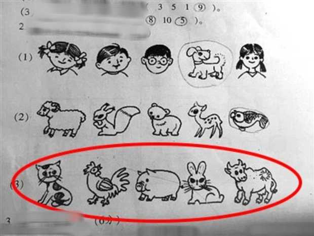 Câu hỏi lớp 1: Con nào khác biệt Mèo - Gà - Lợn - Thỏ - Trâu?, cô giáo đưa ra 1 đáp án cùng lời giải thích gây choáng váng - Ảnh 1.