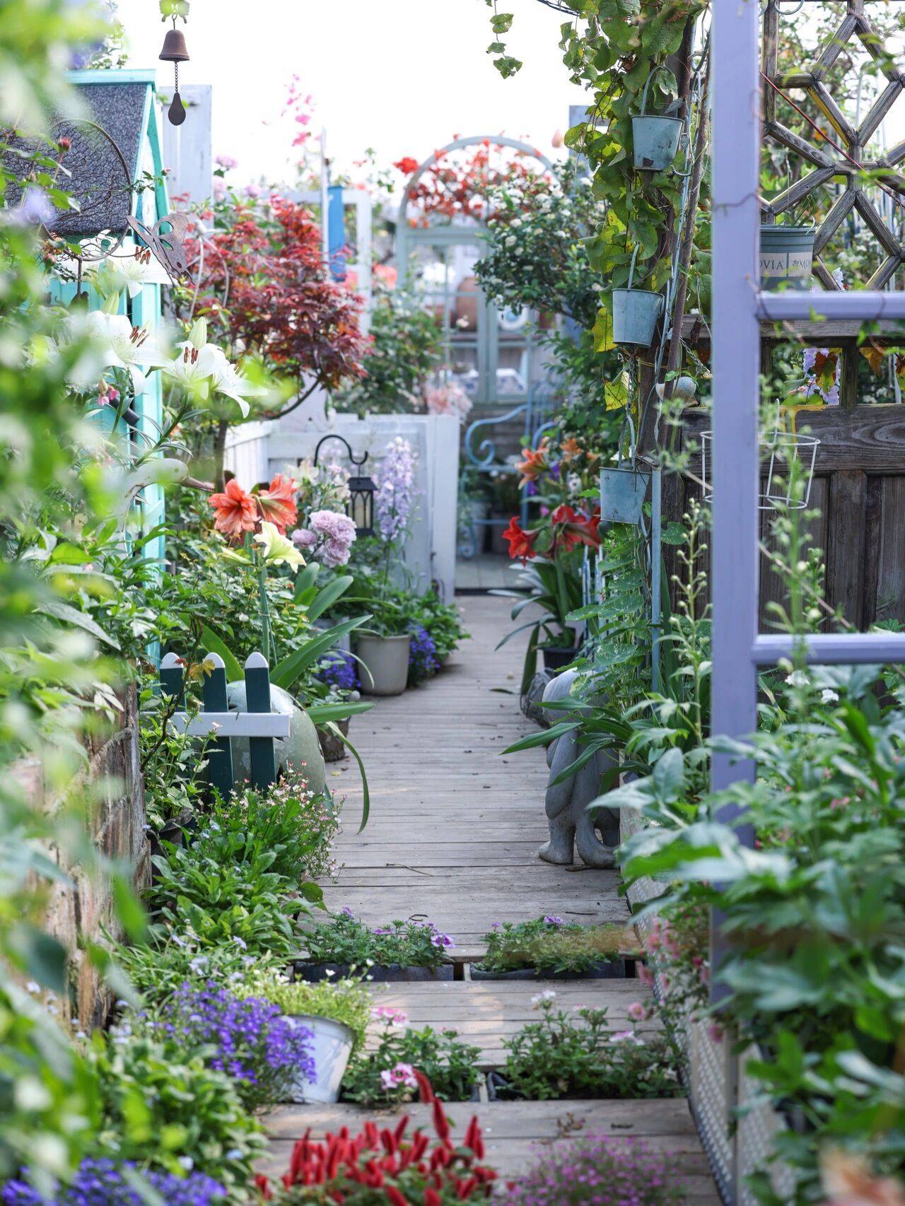 Spending 5 years taking care of the garden on the roof, the housewife has a peaceful resting space to envy in the bustling city - Photo 1.