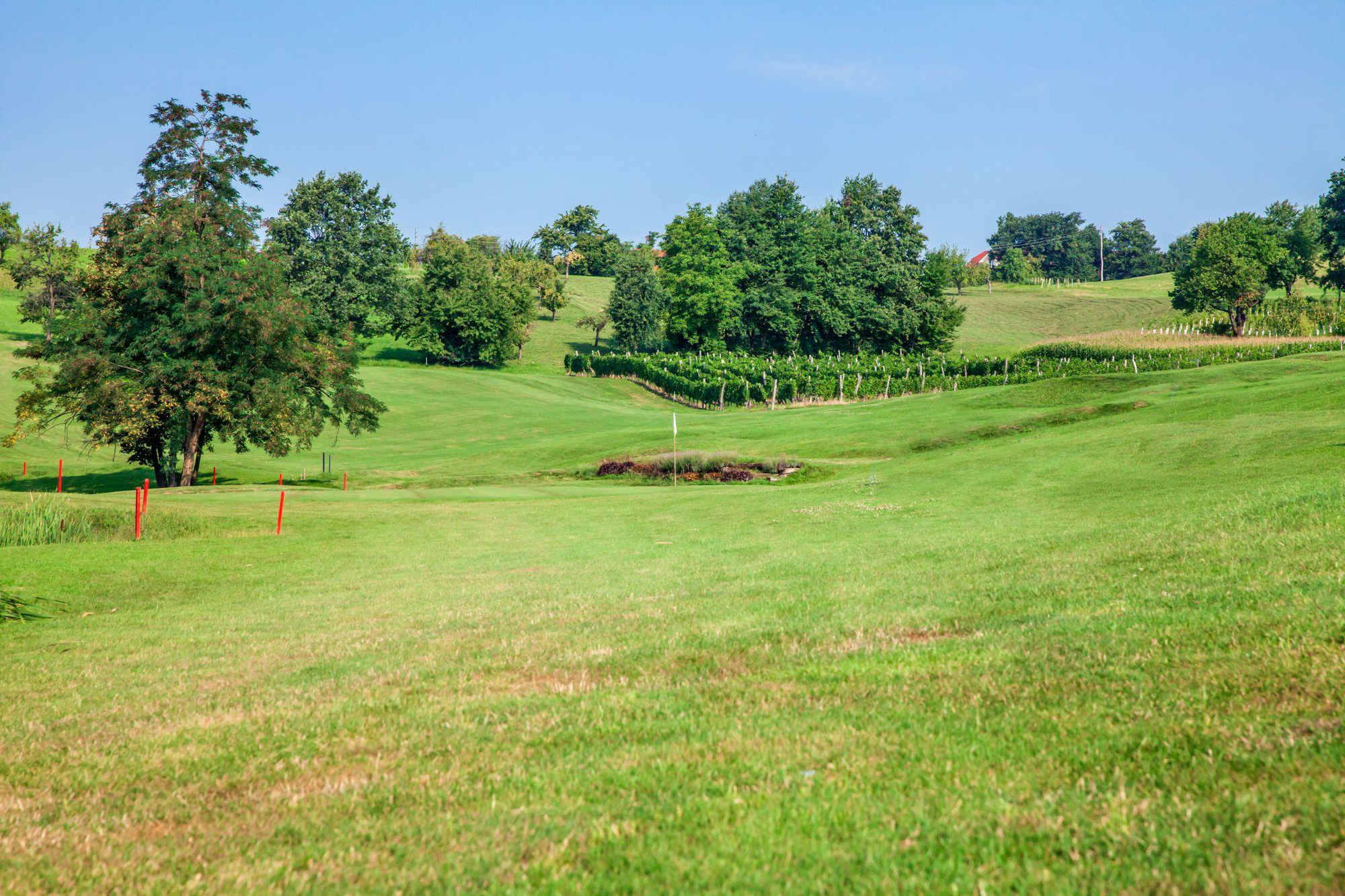 Bóc giá một lần bao toàn sân Golf phải tốn bao nhiêu tiền? - Ảnh 2.