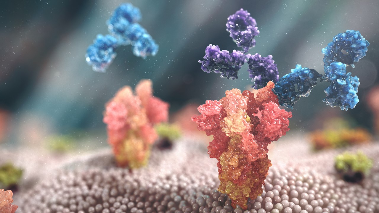 Open portal to register for injection of monoclonal antibodies against COVID-19 - Photo 2.