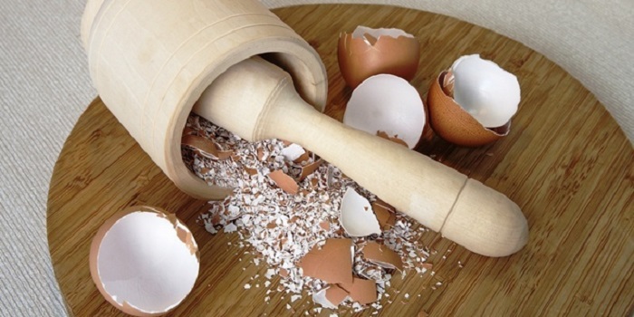 Vỏ trứng cực hiệu quả cho việc trồng cây cảnh trong nhà nhưng lại ít người biết - Ảnh 3.