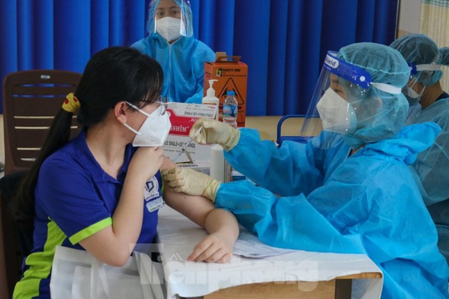 Ho Chi Minh City proposes that F1 who have been vaccinated against COVID-19 can go to school directly - Photo 1.