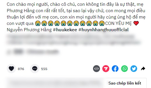 Mother was detained, young master Huynh Hang Huu posted a long status line on TikTok?  - Photo 1.