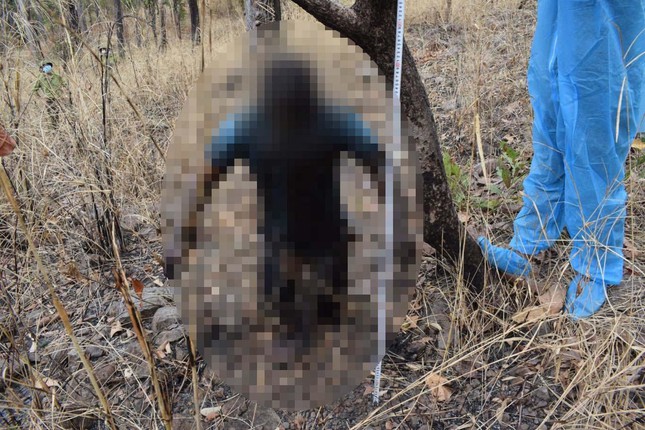 The horrifying truth behind the discovery of the man's body hanging in the forest - Photo 1.