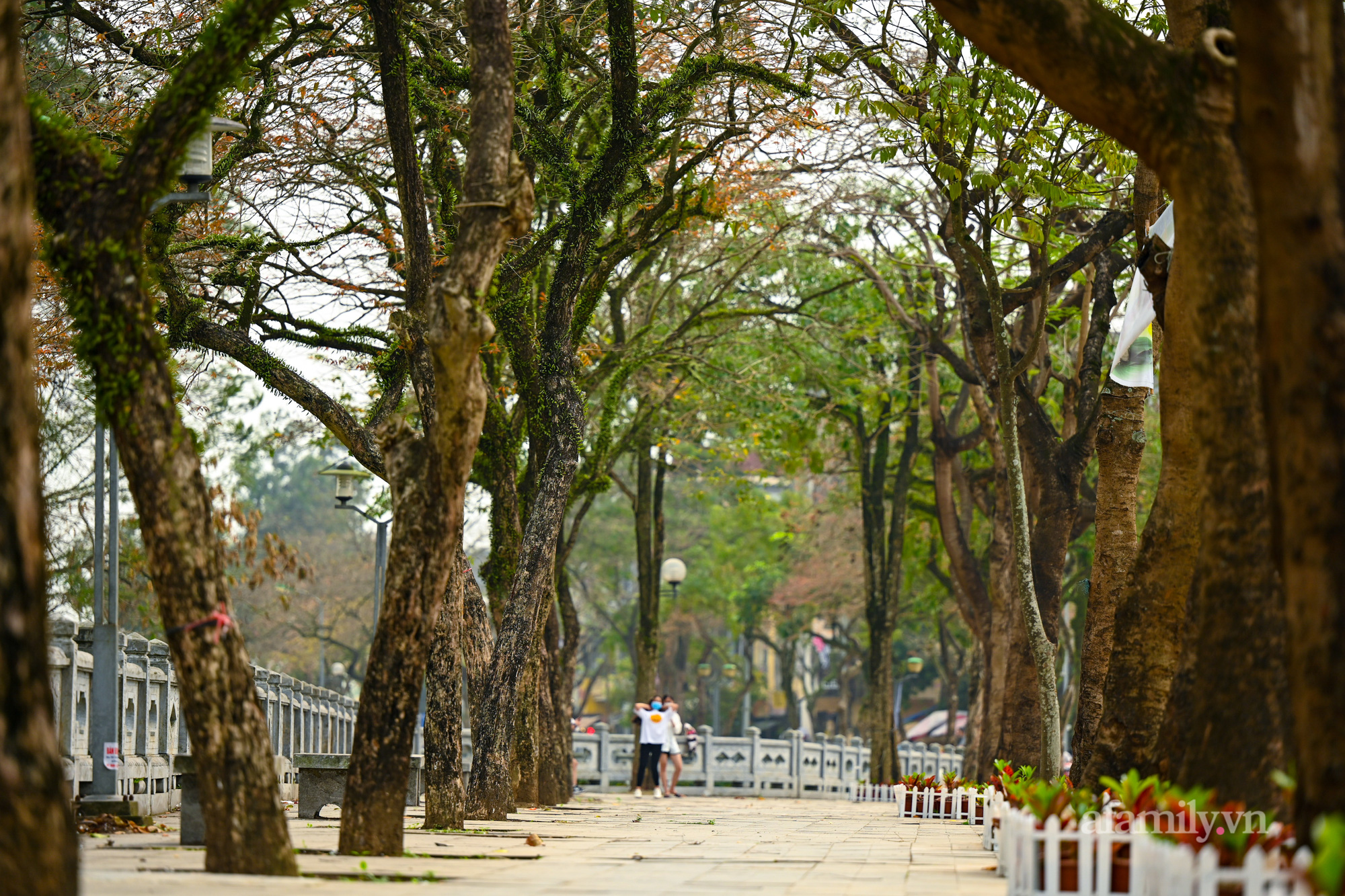 Toàn cảnh tuyến phố đi bộ thứ 4 ở Hà Nội sắp đưa vào hoạt động - Ảnh 9.