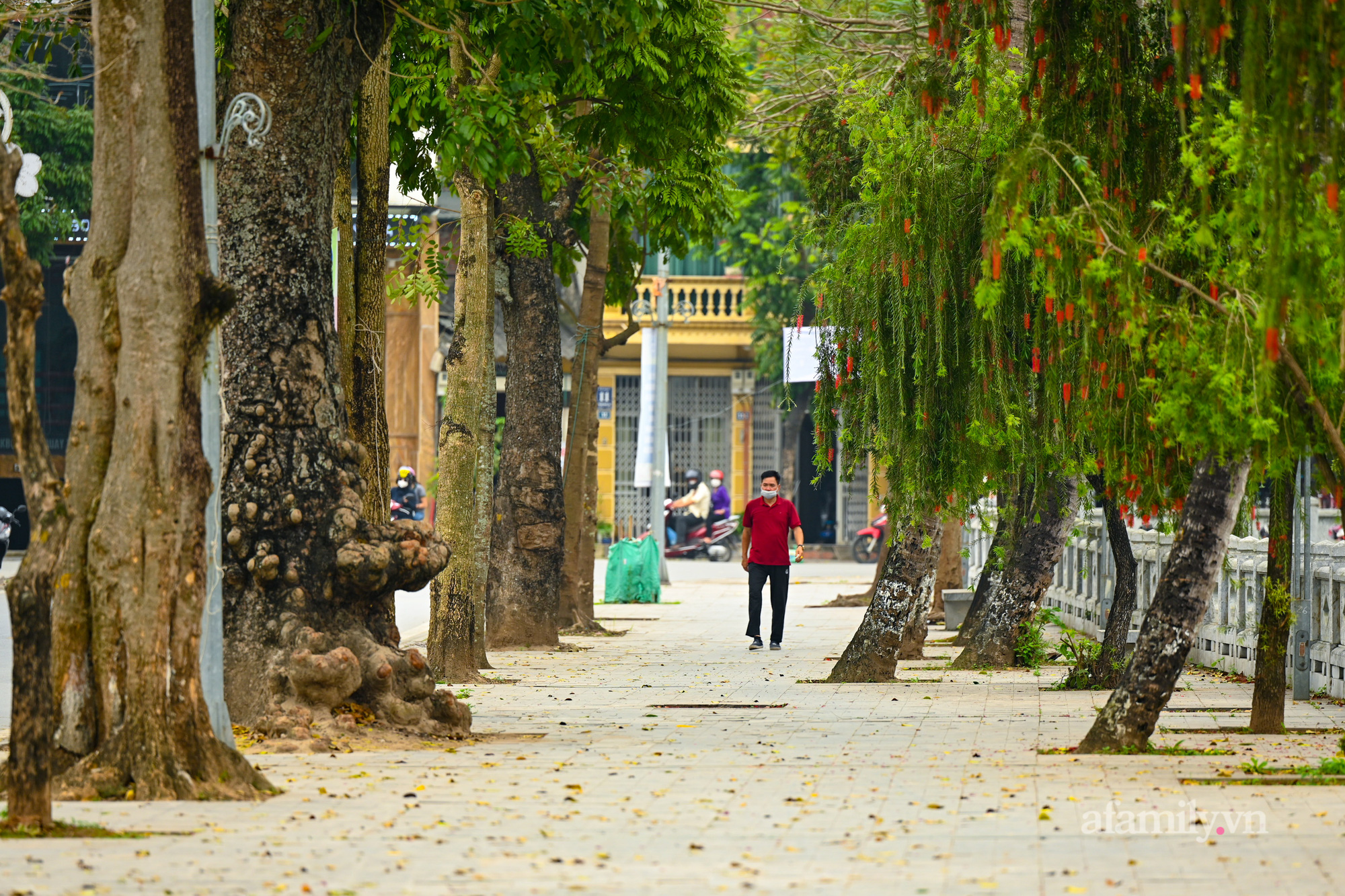 Toàn cảnh tuyến phố đi bộ thứ 4 ở Hà Nội sắp đưa vào hoạt động - Ảnh 12.