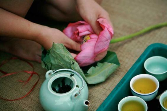 Người Việt có 1 loại trà &quot;quốc bảo&quot; làm giảm béo và kiểm soát lượng đường trong máu, F0 uống hàng ngày còn giúp dễ ngủ hơn - Ảnh 4.