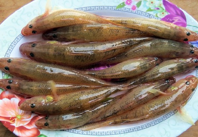 Loại cá có công dụng trị ho đủ kiểu, vừa bồi bổ cơ thể vừa tăng cường collagen nhưng người Việt giờ ít ăn - Ảnh 3.