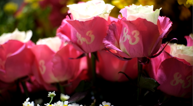 Cận kề ngày 8/3: Giá hoa tươi tăng mạnh, cành hoa hồng in chữ độc lạ hút khách - Ảnh 3.