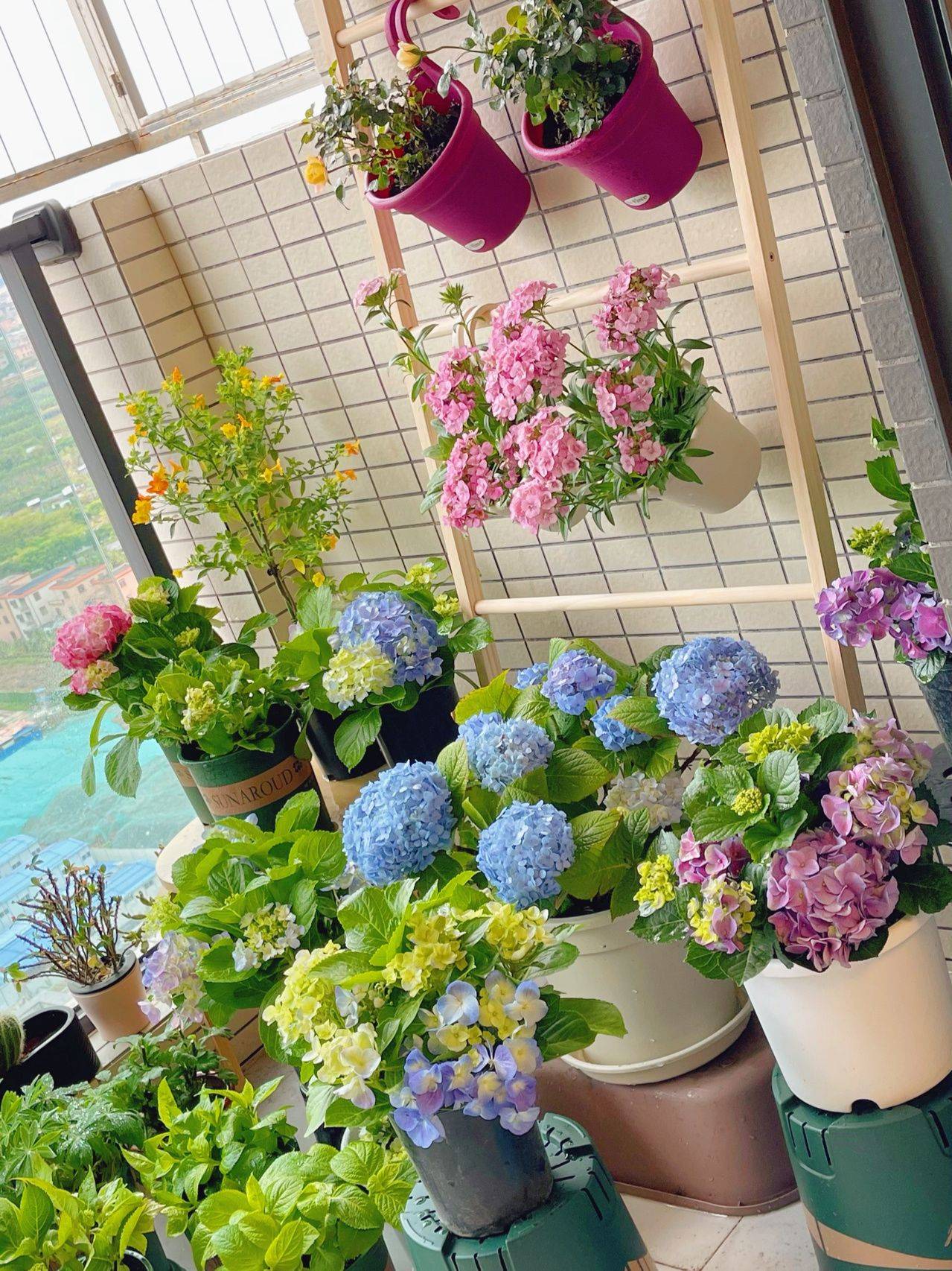 The balcony garden is only a few square meters but makes passersby look back - Photo 8.