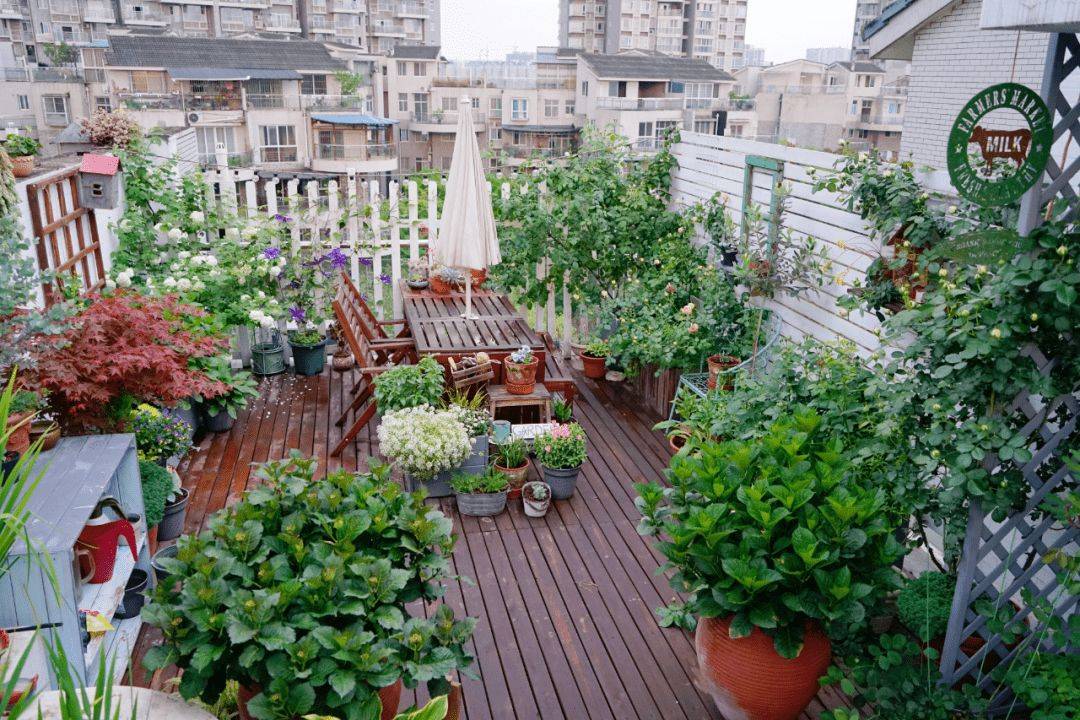 The young couple decided to buy a house with a terrace to make a vegetable garden, but after 4 years it turned into a colorful flower garden - Photo 13.