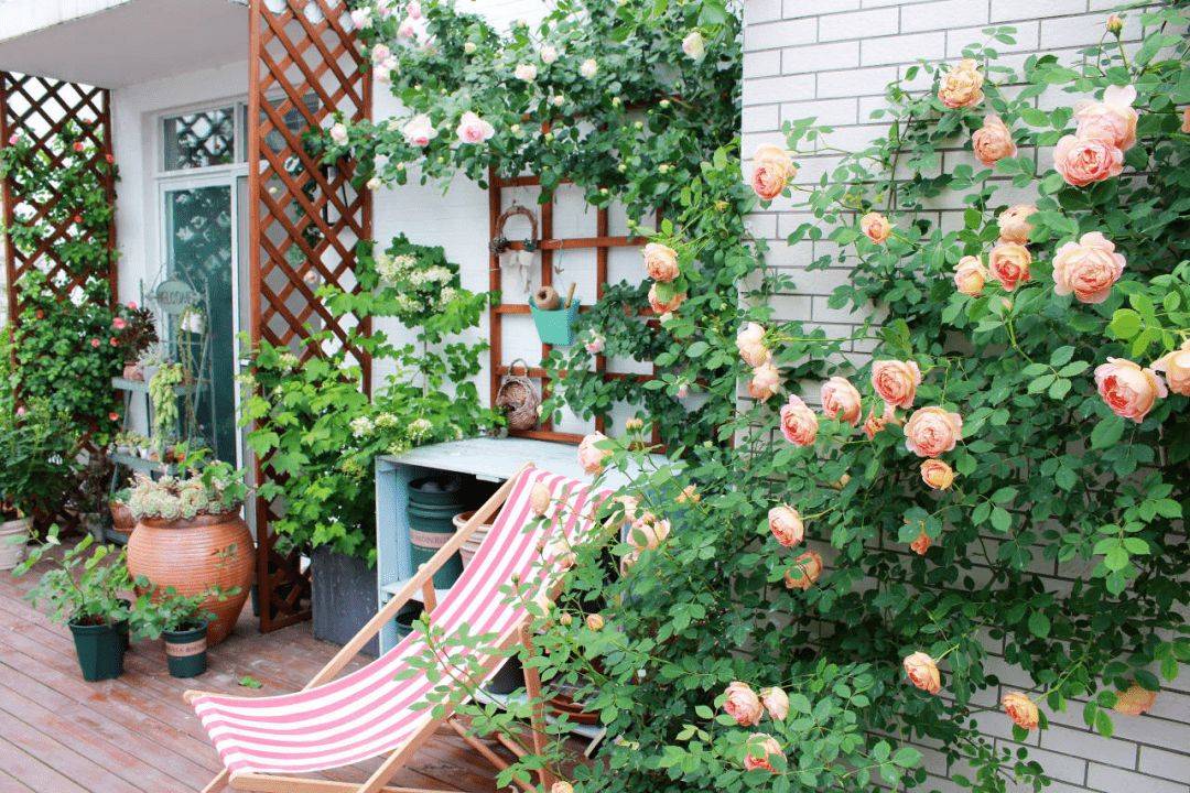 The young couple decided to buy a house with a terrace to make a vegetable garden, but after 4 years it turned into a colorful flower garden - Photo 8.