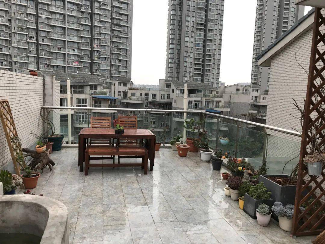 The young couple decided to buy a house with a terrace to make a vegetable garden, but after 4 years it turned into a colorful flower garden - Photo 1.