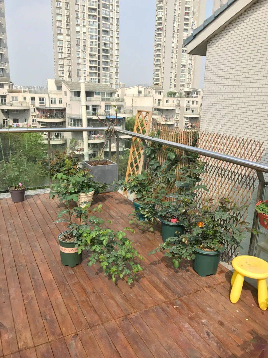 The young couple decided to buy a house with a terrace to make a vegetable garden, but after 4 years it turned into a colorful flower garden - Photo 2.