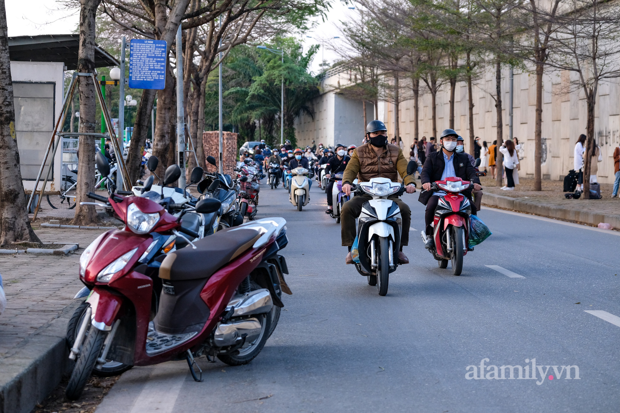 Giới trẻ đổ xô check-in hàng cây bàng hot nhất Hà Nội, gây mất an toàn giao thông - Ảnh 5. Giới trẻ đổ xô check-in hàng cây bàng hot nhất Hà Nội, gây mất an toàn giao thông - Ảnh 5.