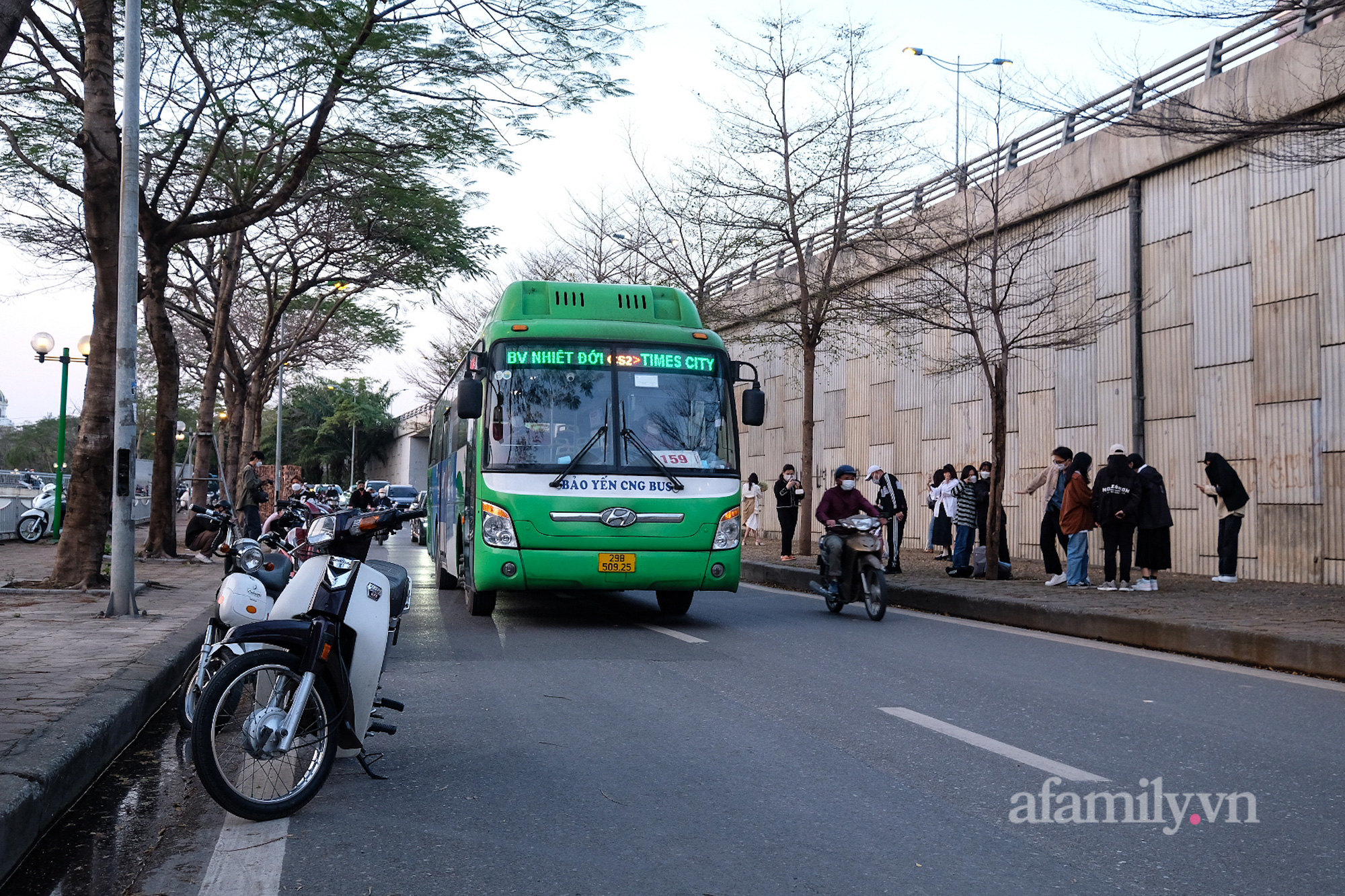 Giới trẻ đổ xô check-in hàng cây bàng hot nhất Hà Nội, gây mất an toàn giao thông - Ảnh 8.