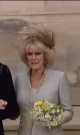 Sự khác biệt đầy phũ phàng giữa Công nương Diana với &quot;tình địch&quot; Camilla trong hôn lễ với Thái tử Charles chỉ trong một khoảnh khắc - Ảnh 2.