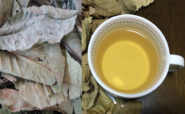 Take a handful of these leaves and boil water with honey to drink every day to help lower blood pressure, clean blood vessels, and women to have unexpectedly firm skin - Photo 5.