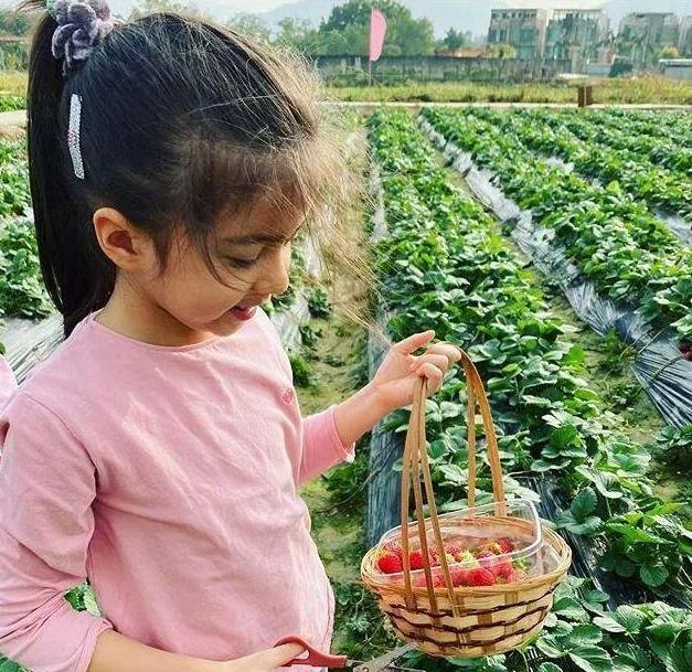 The 5-year-old mixed-race daughter of the Hong Kong actress is so beautiful that netizens exclaim: 