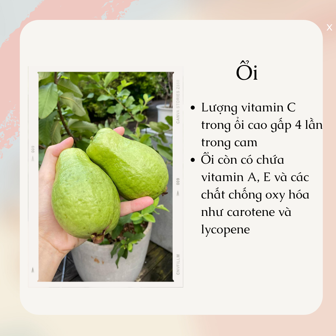 5 types of cheap fruit like to help increase collagen that Ha Tang loves - Photo 5.