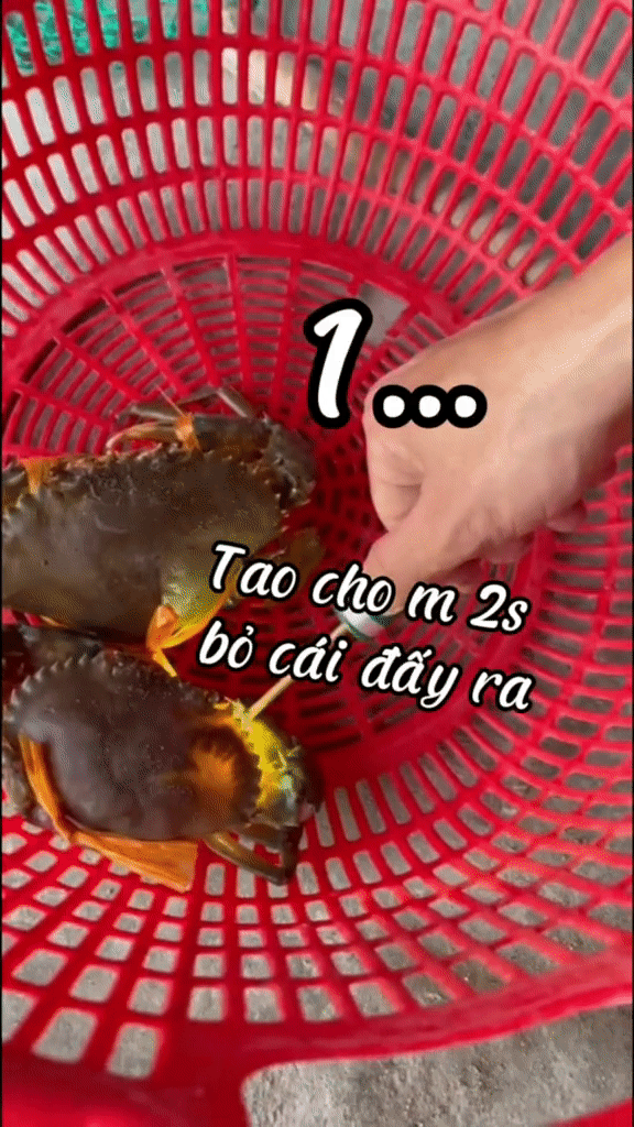 Using the lamp to shine directly into the corner made many people curious, others said: True connoisseurs, apply to buy crabs without worrying about being cheated!  - Photo 3.