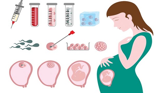 7 important steps are indispensable when doing in vitro fertilization, if these factors are encountered, the IVF process may fail - Photo 1.