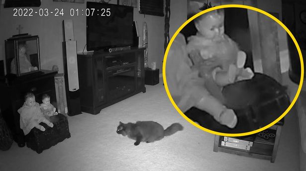 Reviewing the camera in their basement, the couple trembled when they witnessed the terrifying scene where the pet cat also had to 